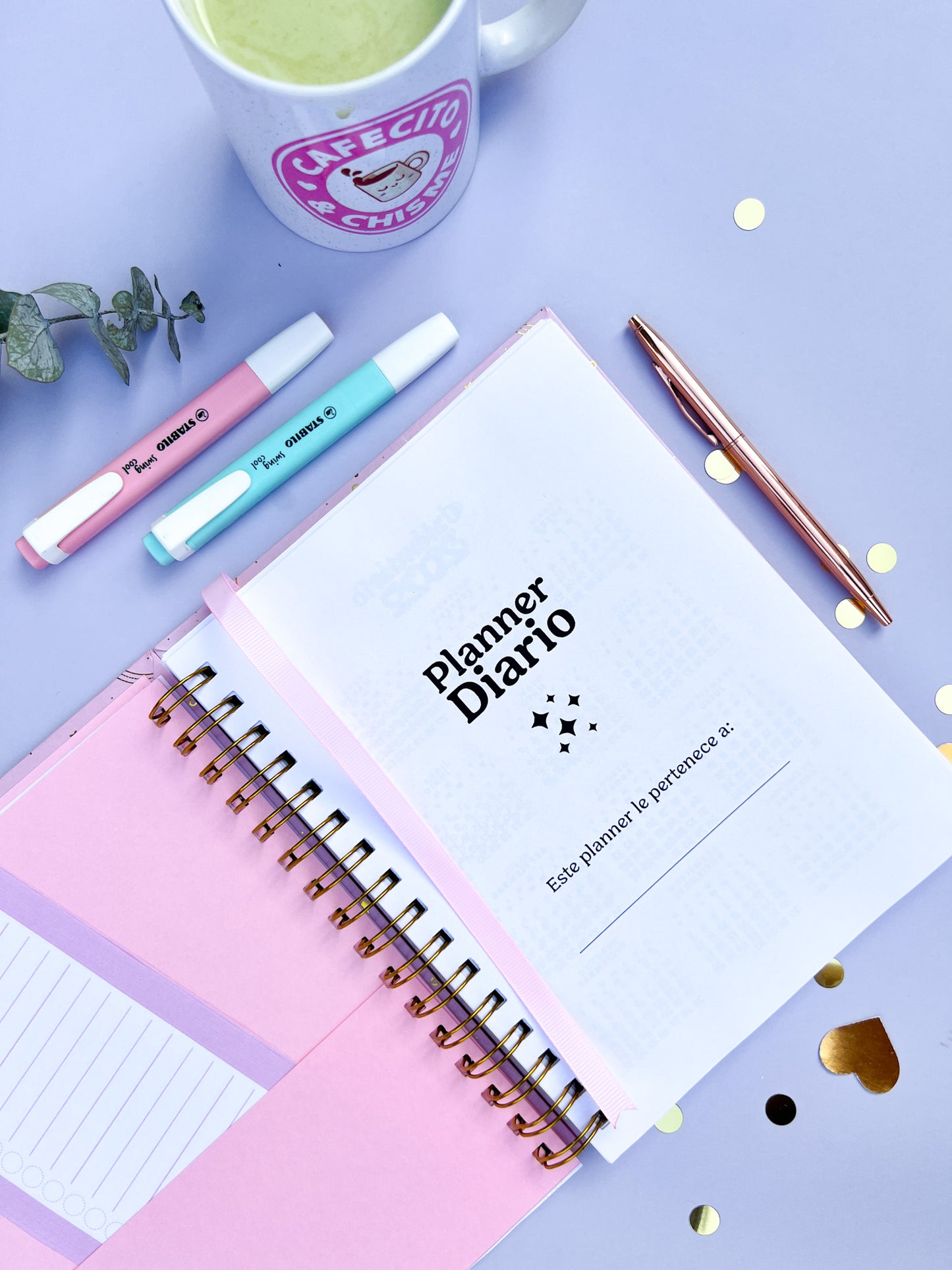 Planner Diario (Sin Fechas)