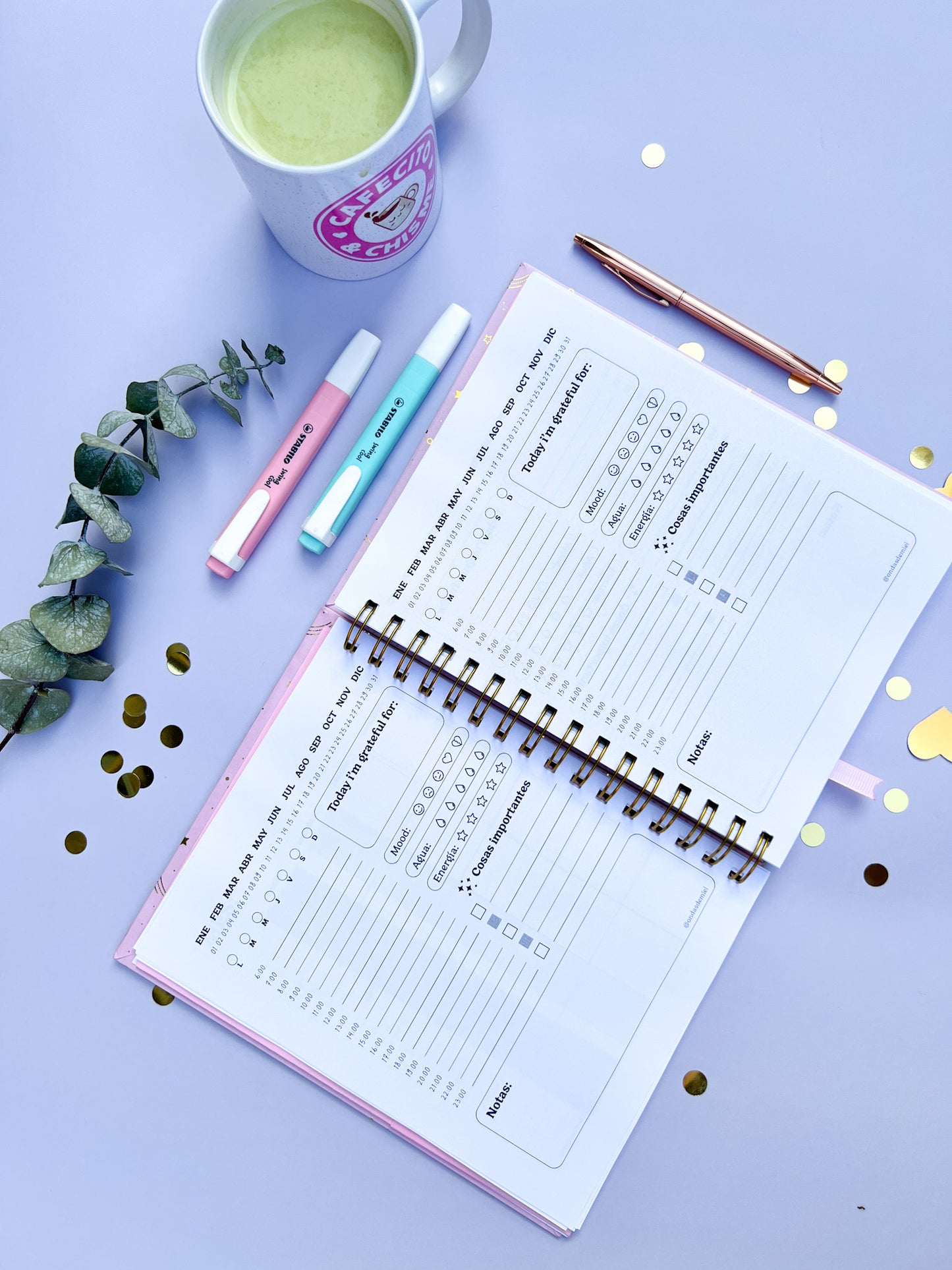 Planner Diario (Sin Fechas)