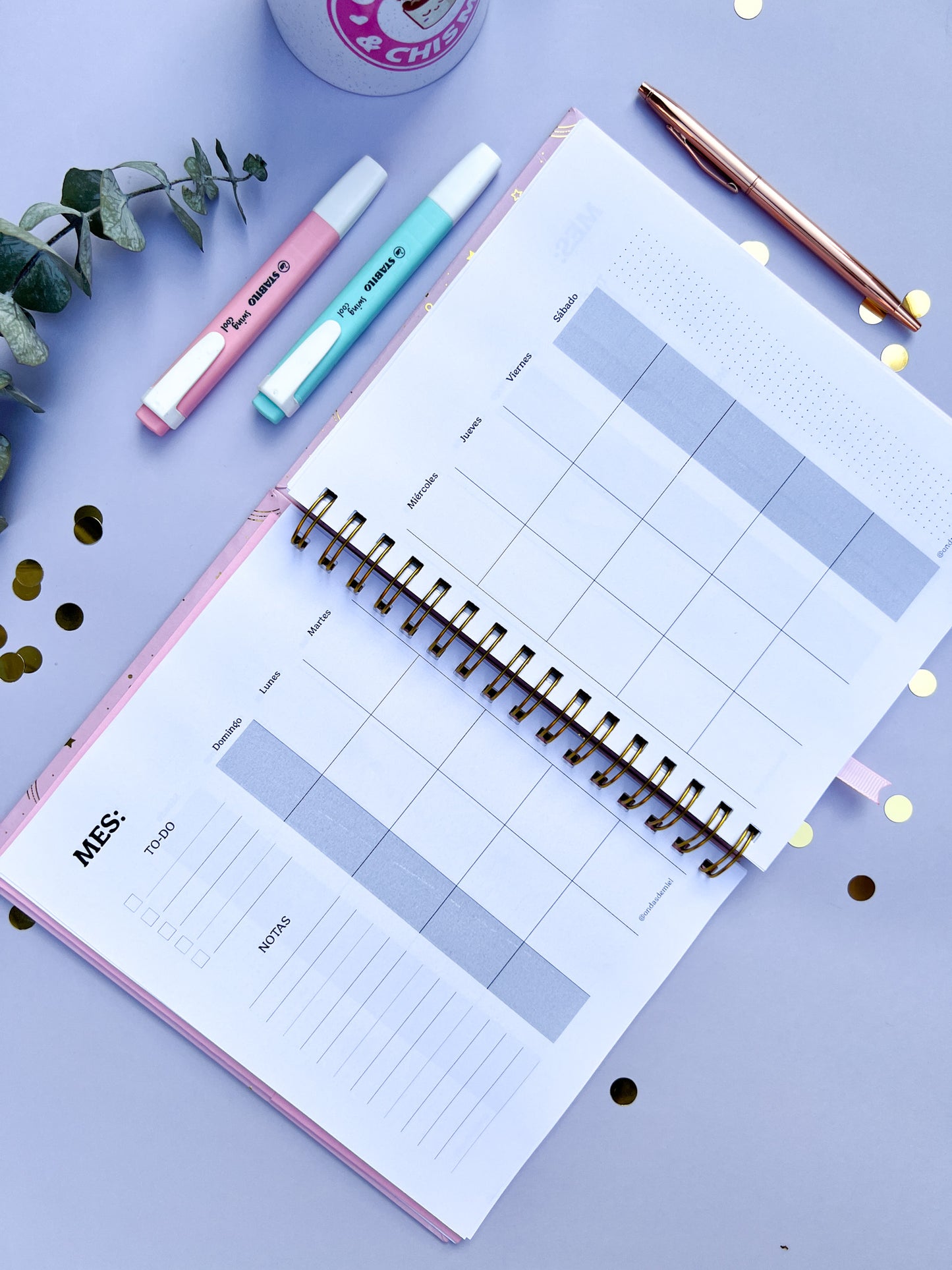 Planner Diario (Sin Fechas)