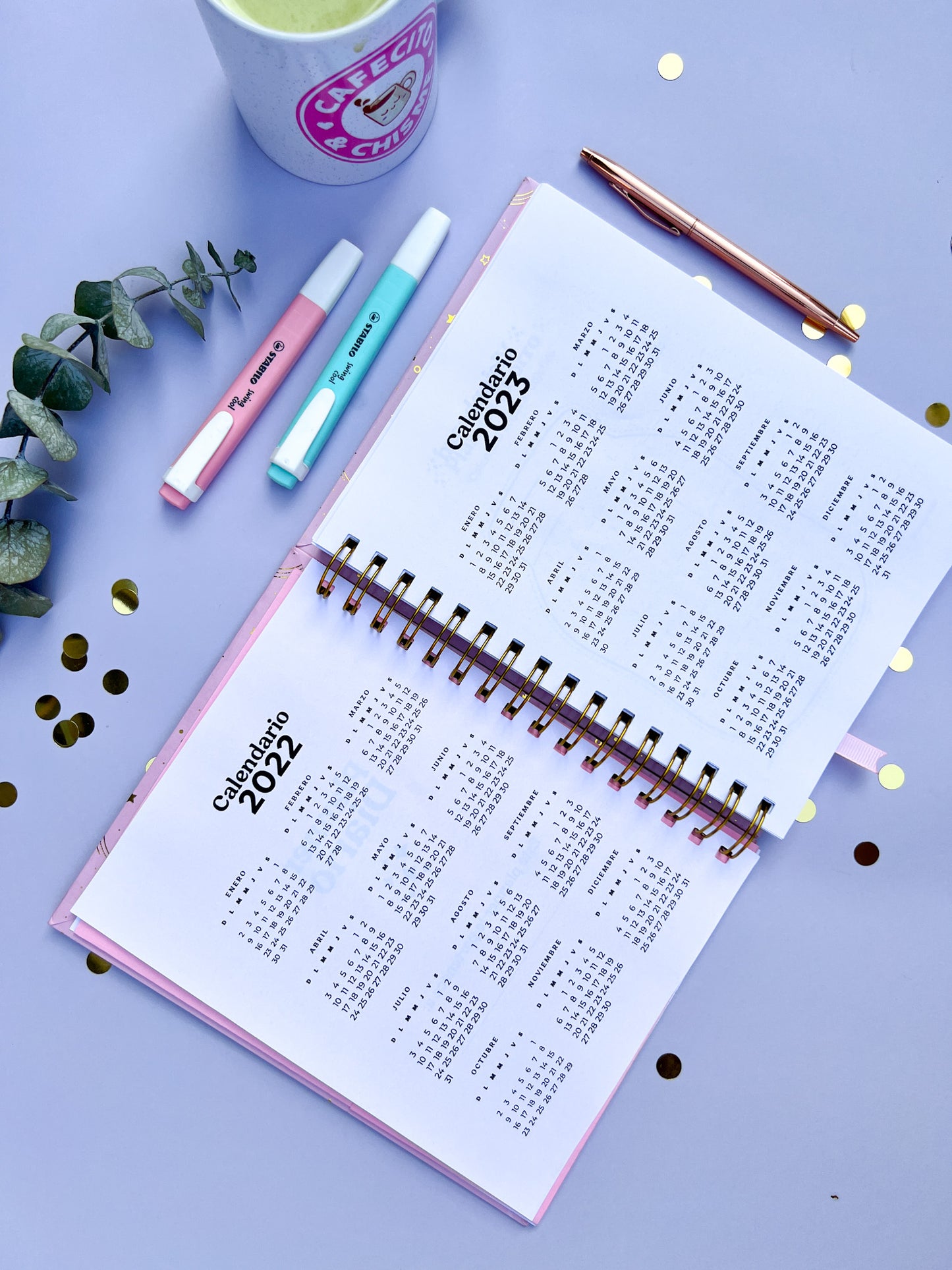 Planner Diario (Sin Fechas)