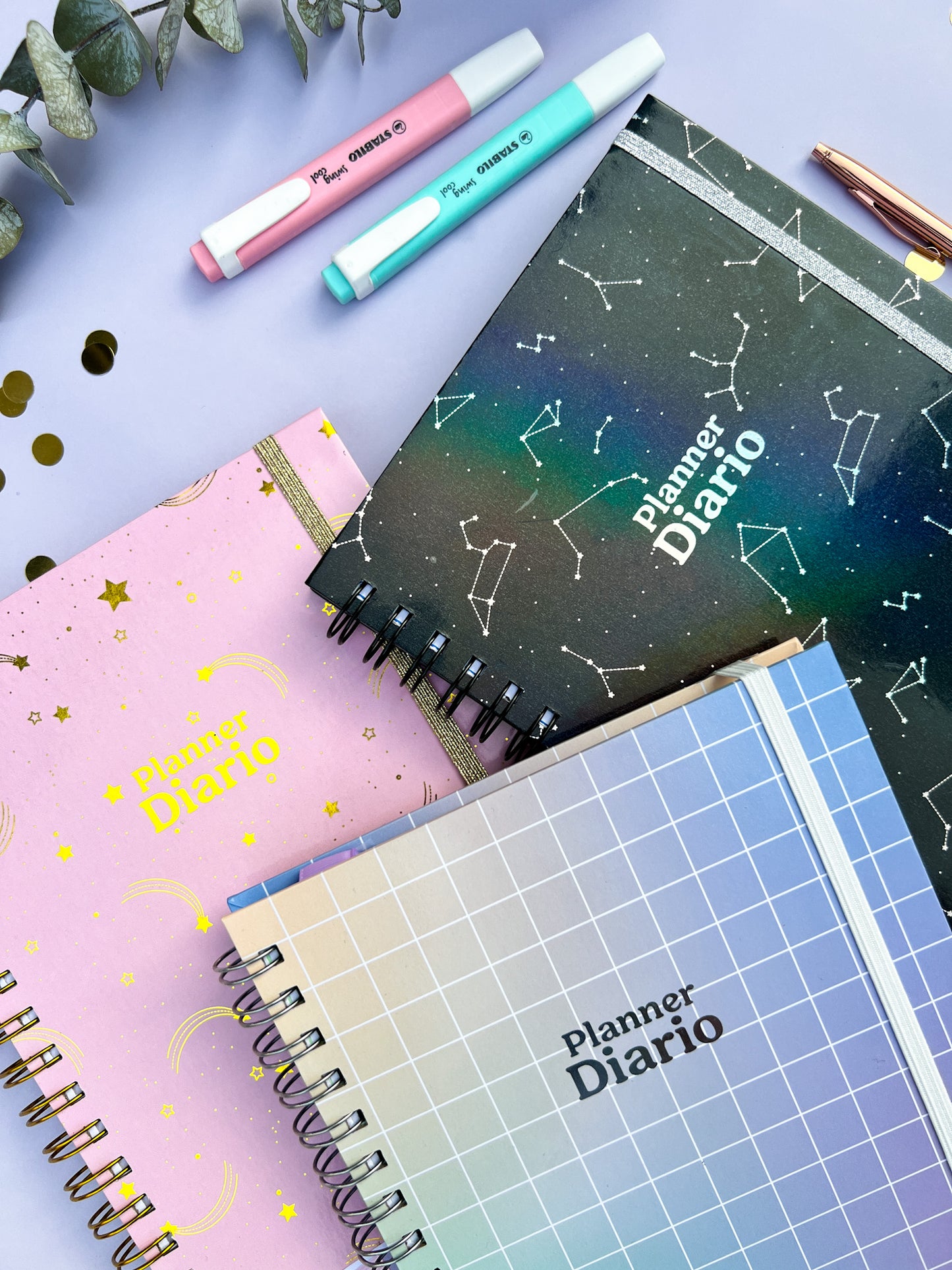 Planner Diario (Sin Fechas)